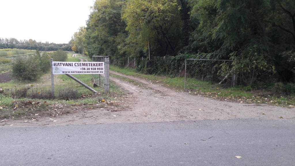 Bej&aacute;rat a kert&eacute;szetbe